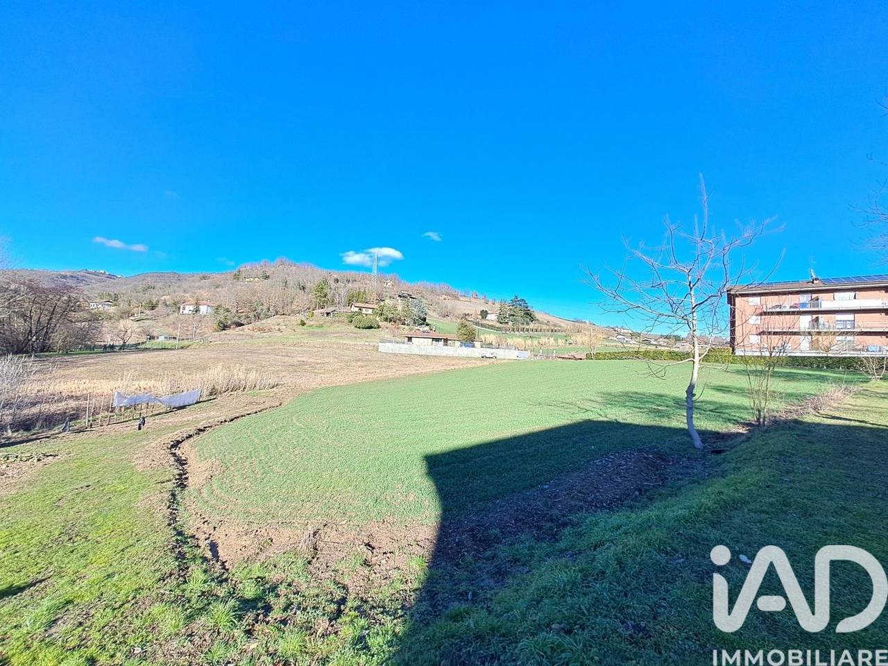 immagine annuncio 4 di 11