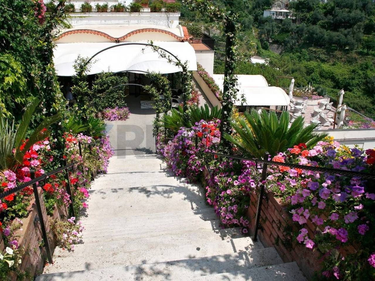 immagine annuncio 11 di 14