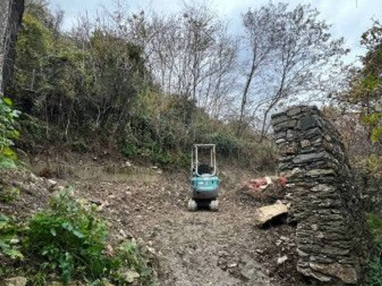 immagine annuncio 1 di 7