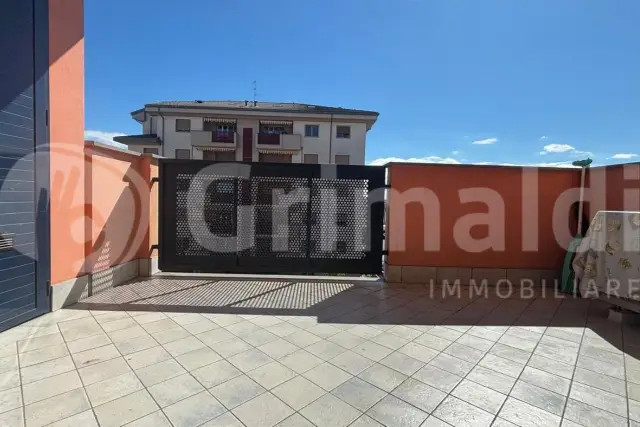 insertion image