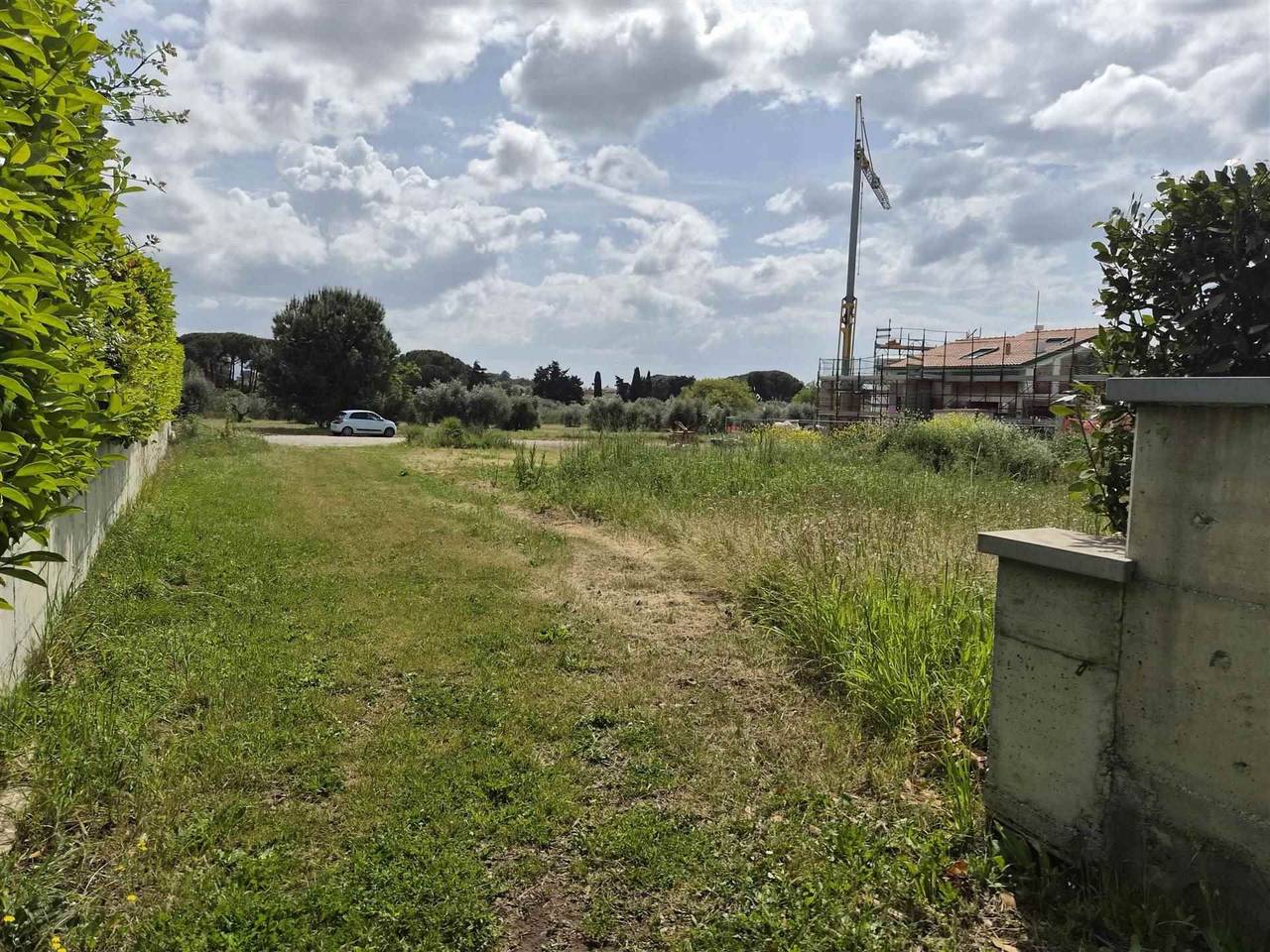 immagine annuncio 3 di 9