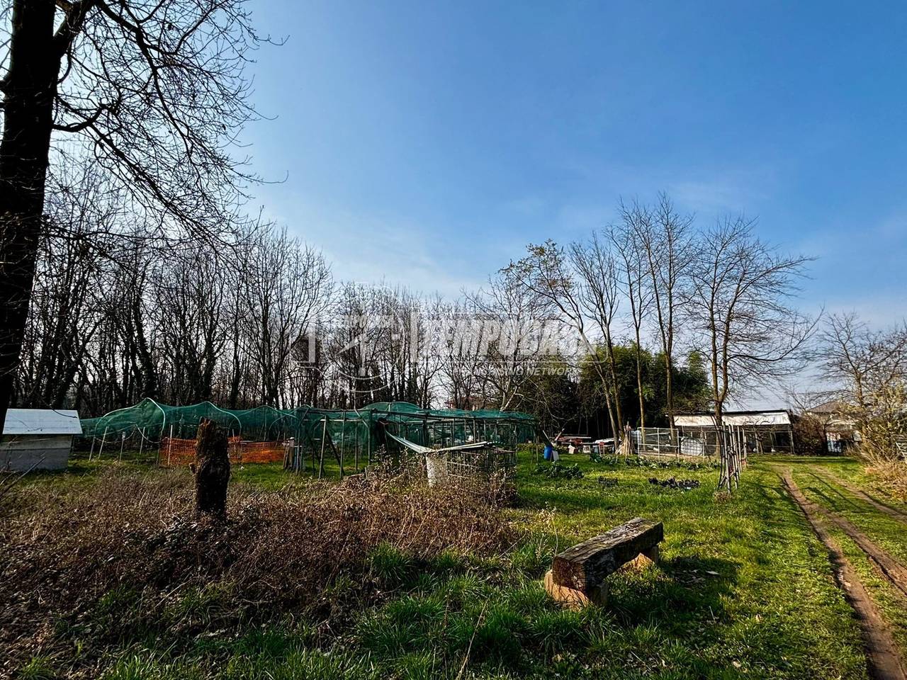 immagine annuncio 4 di 12