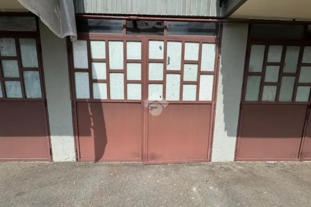 insertion image