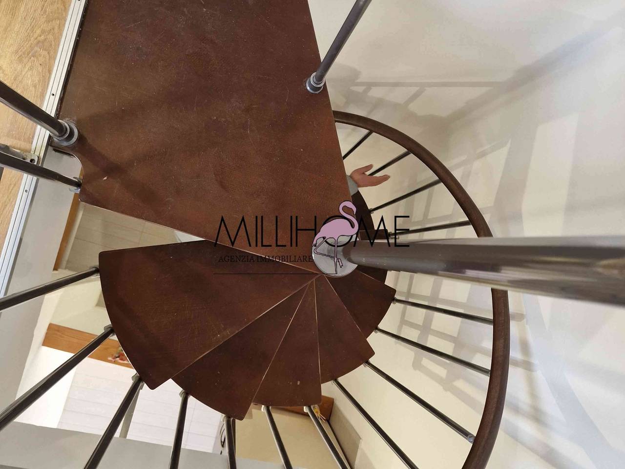 immagine annuncio 6 di 12