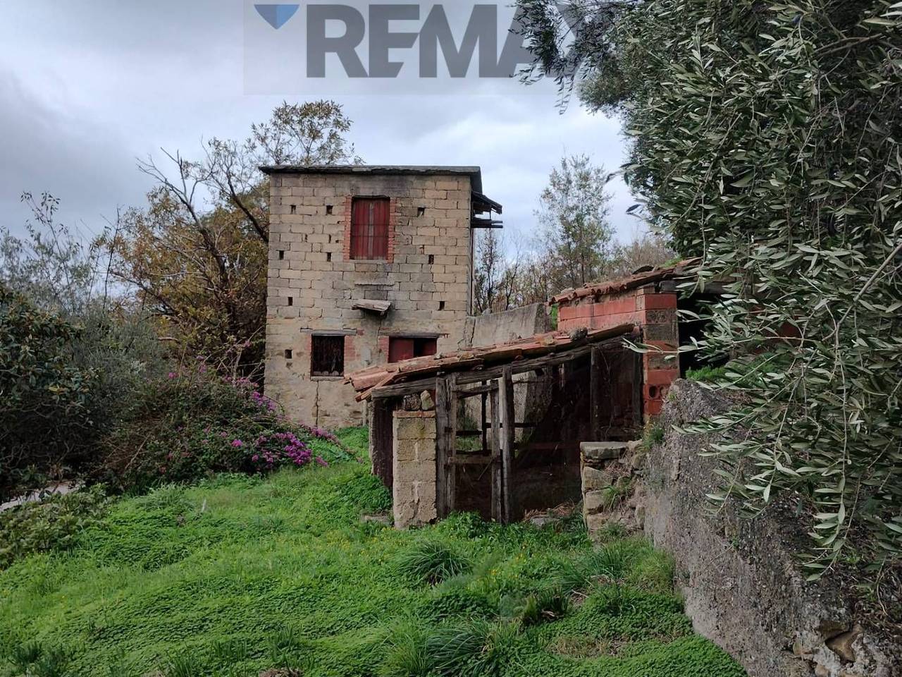 immagine annuncio 4 di 12