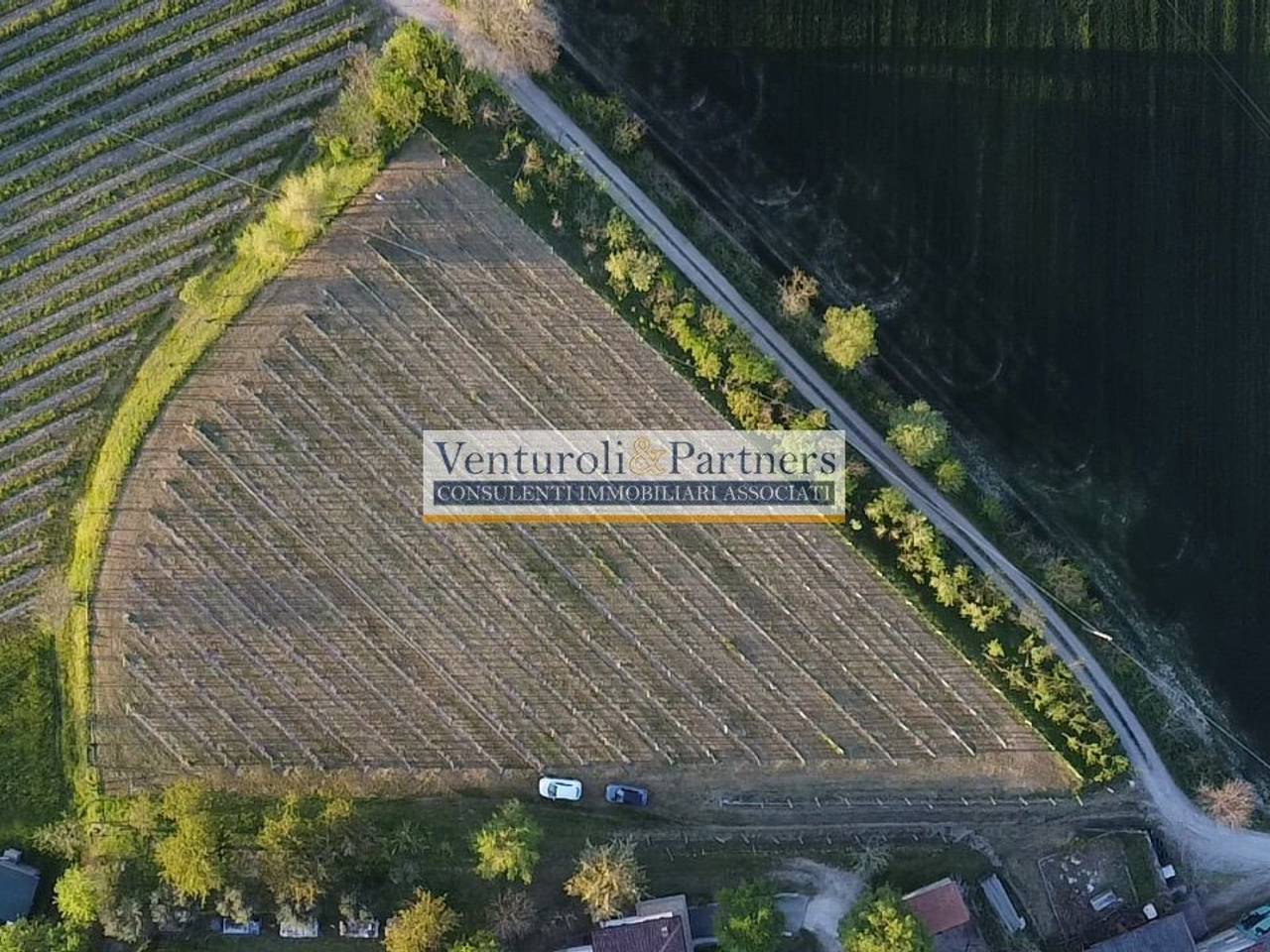 immagine annuncio 7 di 9