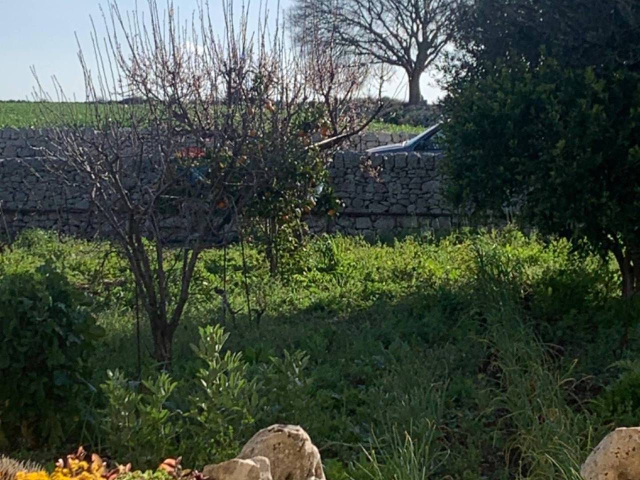 immagine annuncio 5 di 11