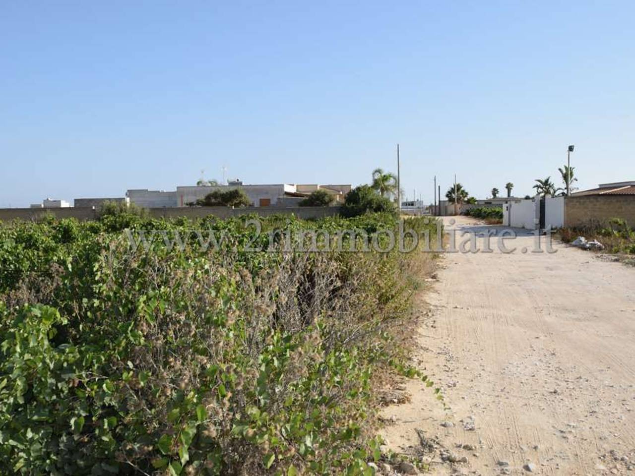 immagine annuncio 6 di 8