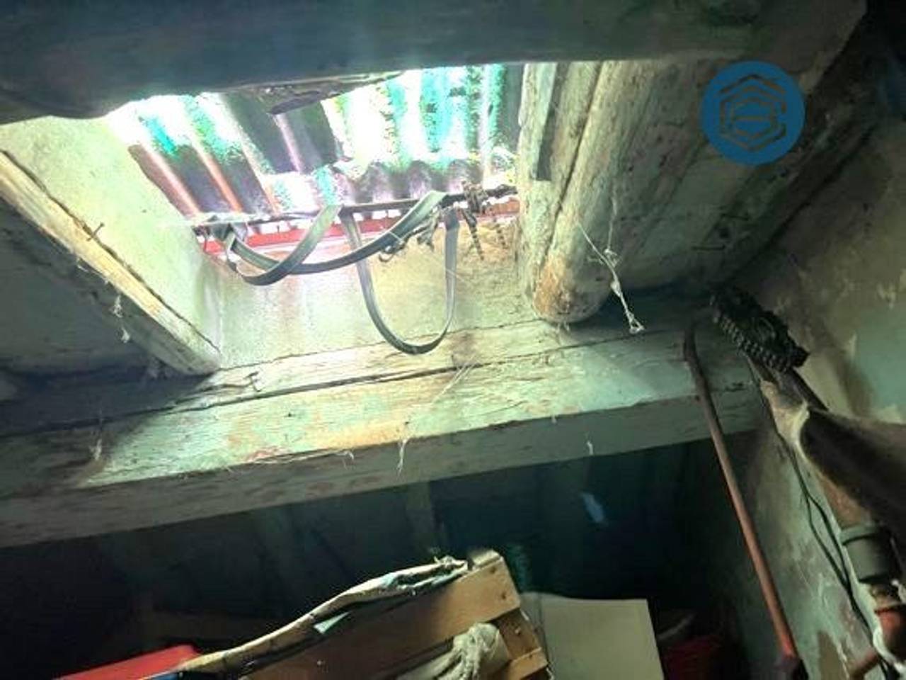 immagine annuncio 12 di 14