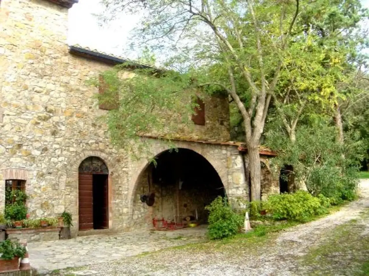 Azienda agricola in , Monteverdi Marittimo, {3} - Foto 2