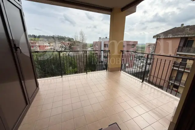 insertion image