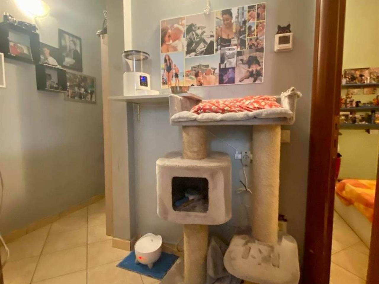 immagine annuncio 3 di 12