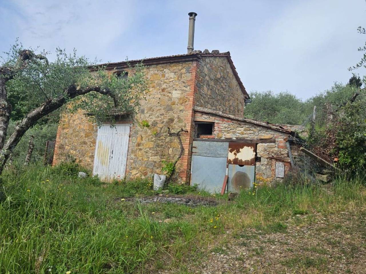 immagine annuncio 11 di 15