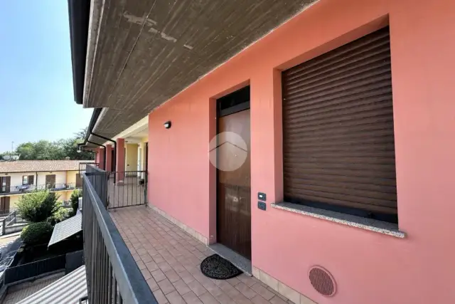 insertion image
