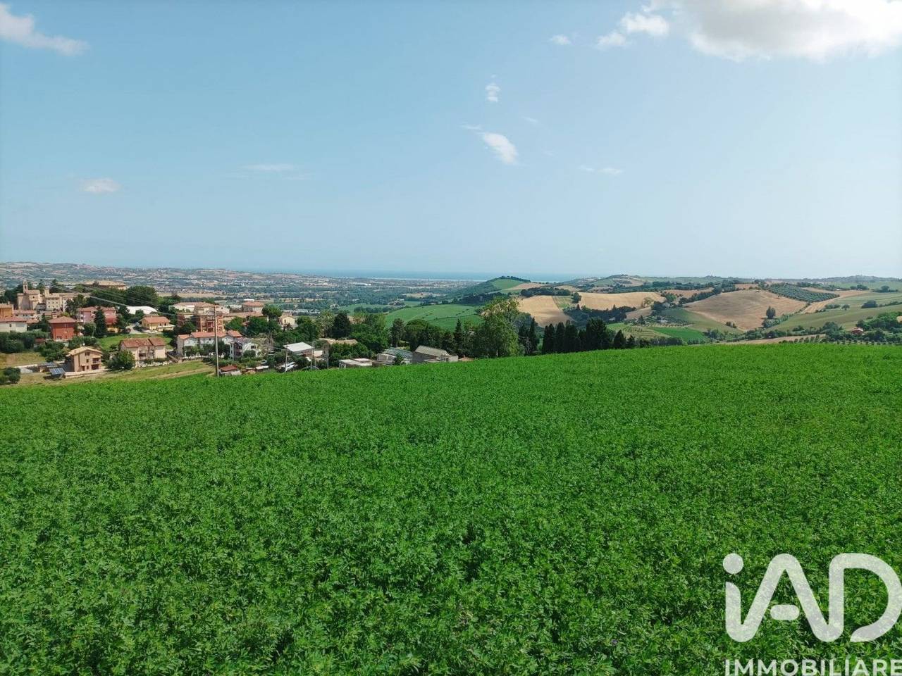 immagine annuncio 9 di 10