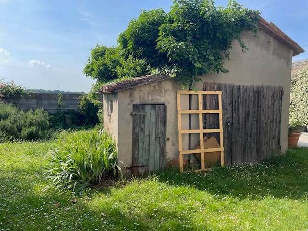 immagine annuncio 8 di 9