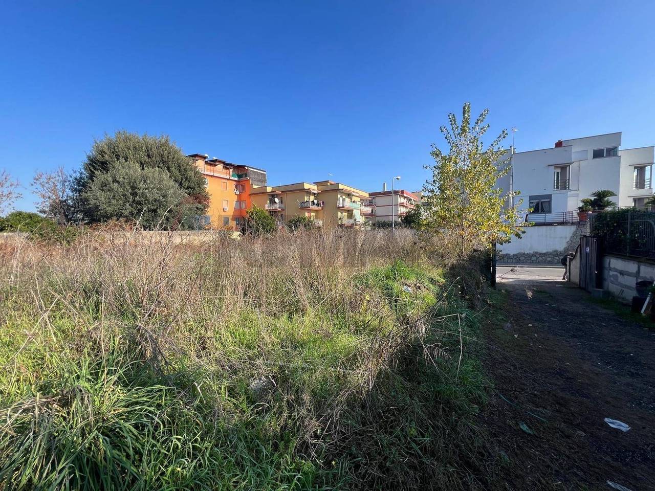 immagine annuncio 2 di 10