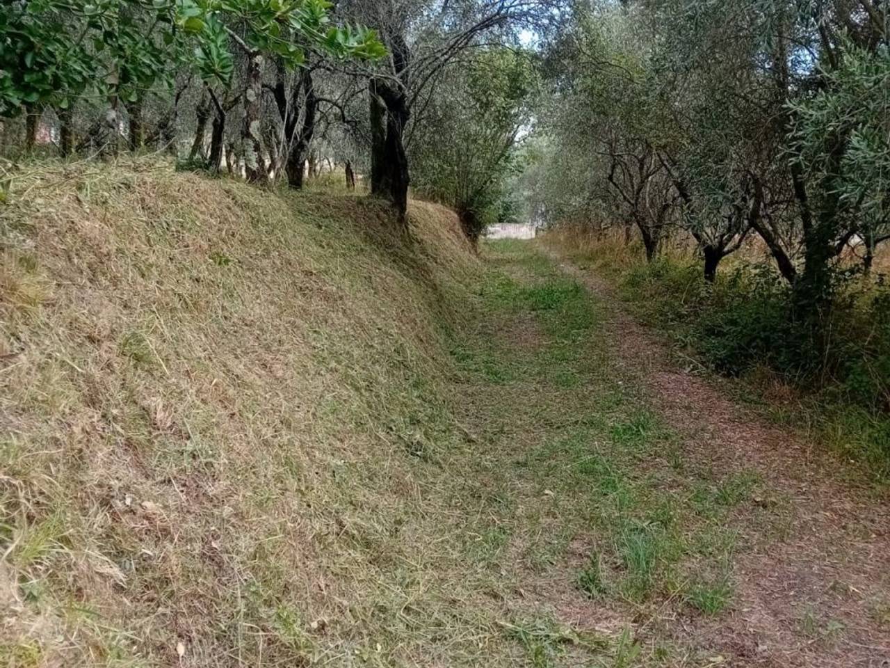 immagine annuncio 8 di 12