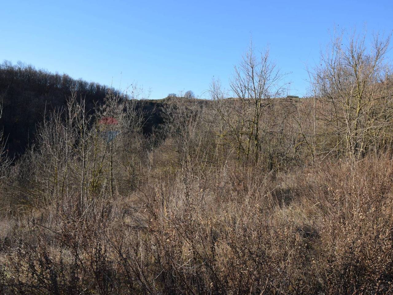 immagine annuncio 3 di 6