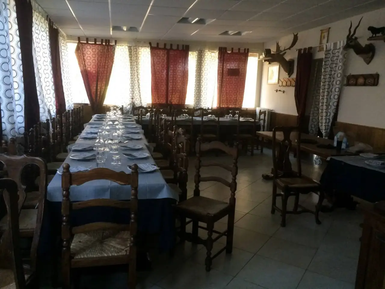 Esercizio commerciale in Viale del Tirreno 12, Pisa, {3} - Foto 1