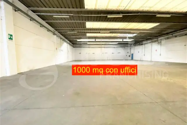 insertion image