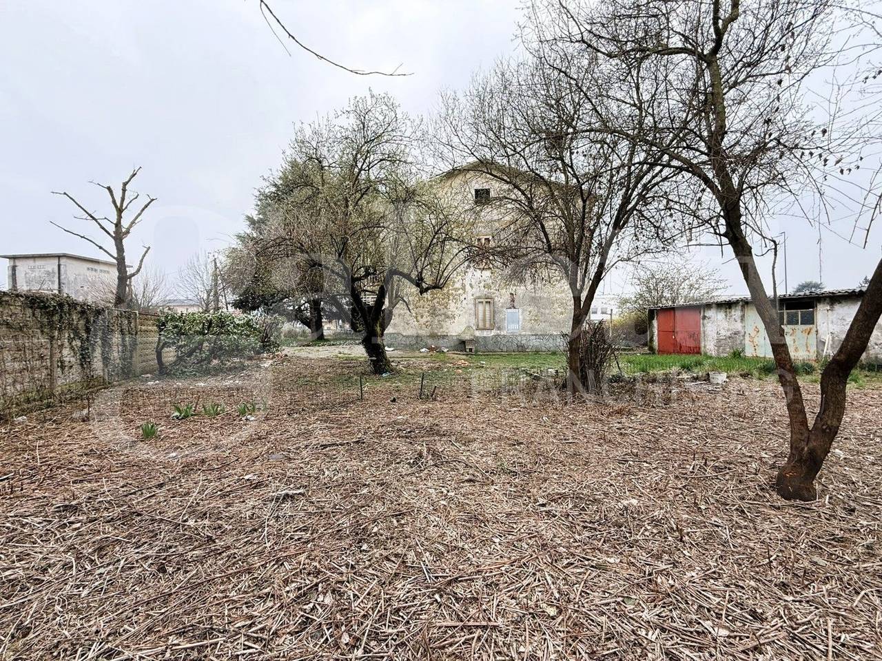 immagine annuncio 7 di 13