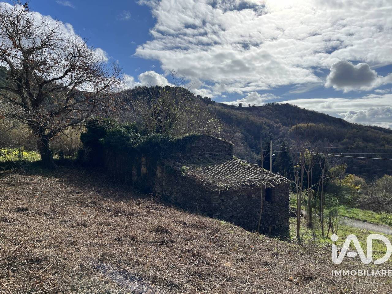 immagine annuncio 8 di 13