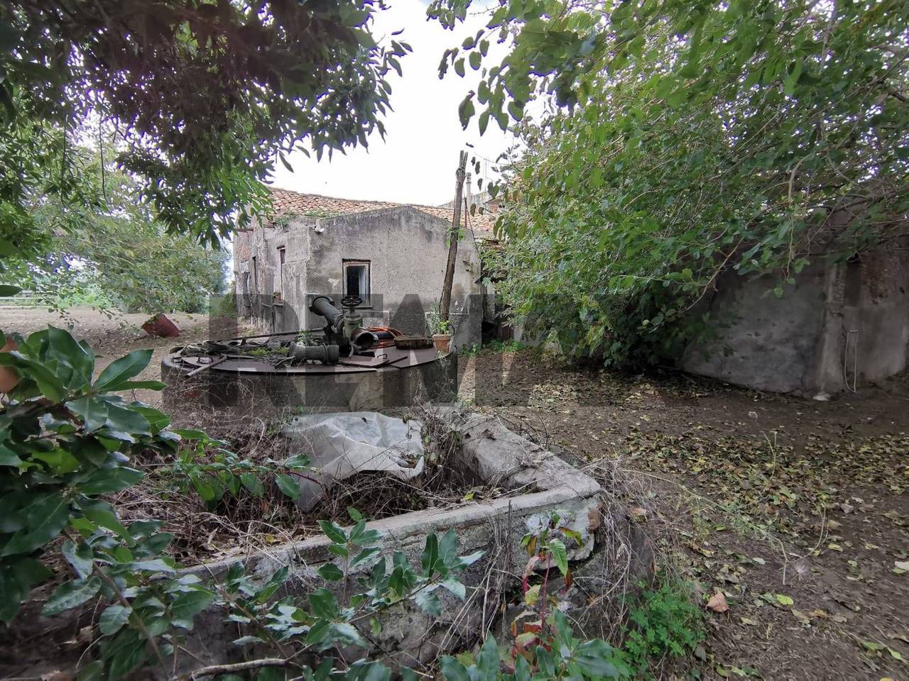 immagine annuncio 7 di 9