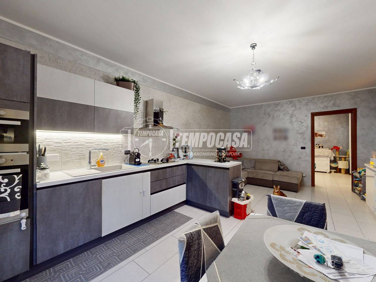 immagine annuncio 6 di 14