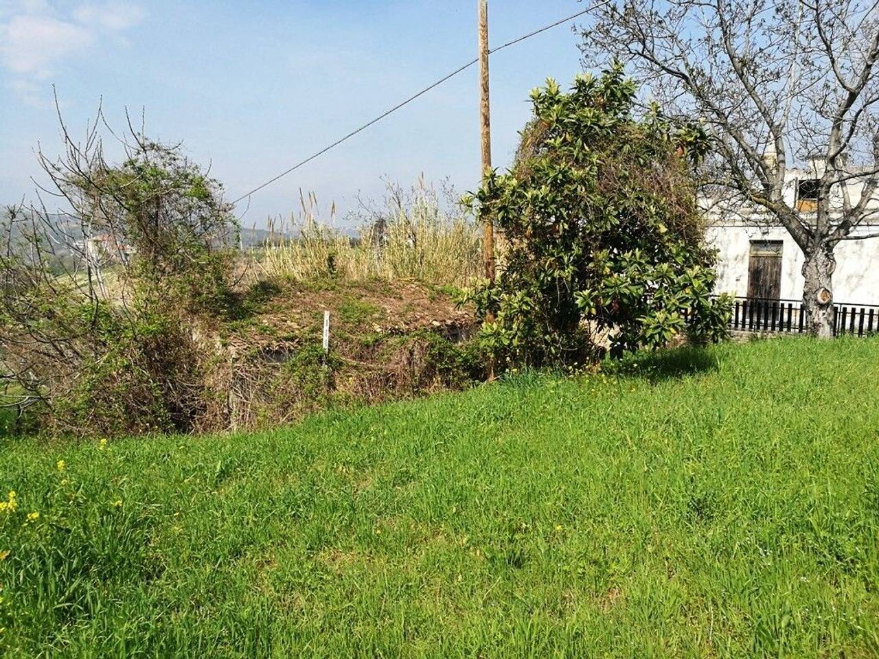 immagine annuncio 7 di 14