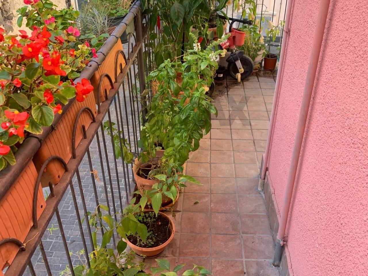 immagine annuncio 1 di 11