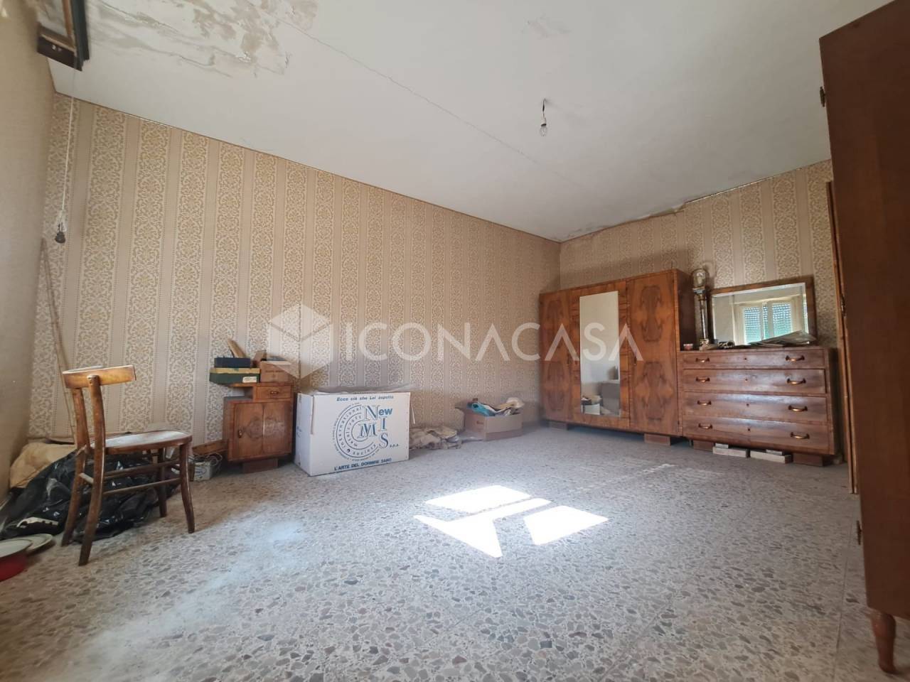 immagine annuncio 10 di 14