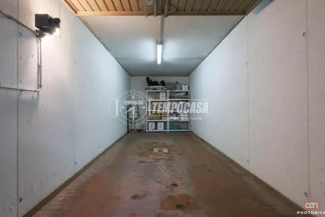 insertion image