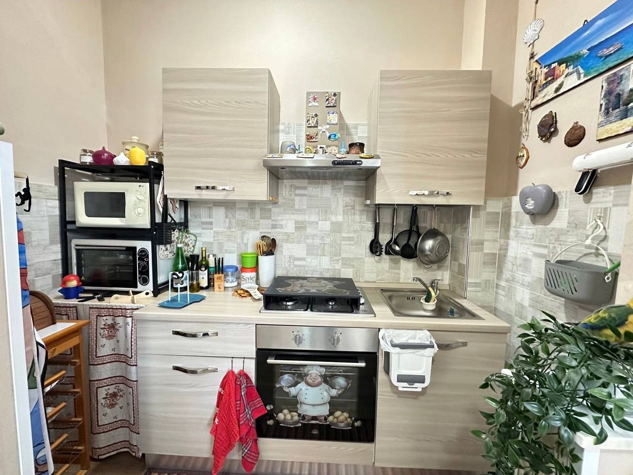 immagine annuncio 6 di 15