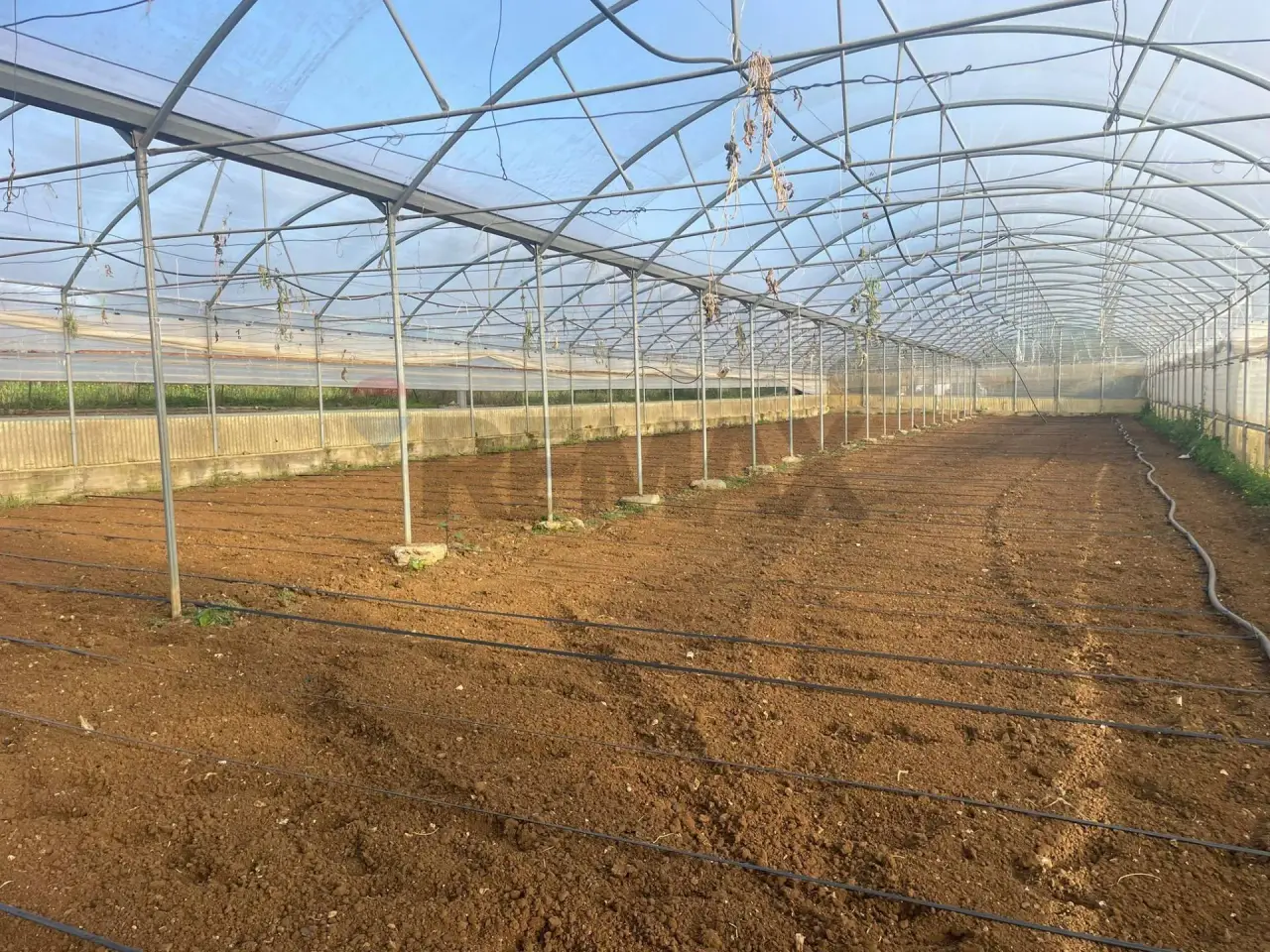 Azienda agricola in , Partinico, {3} - Foto 1