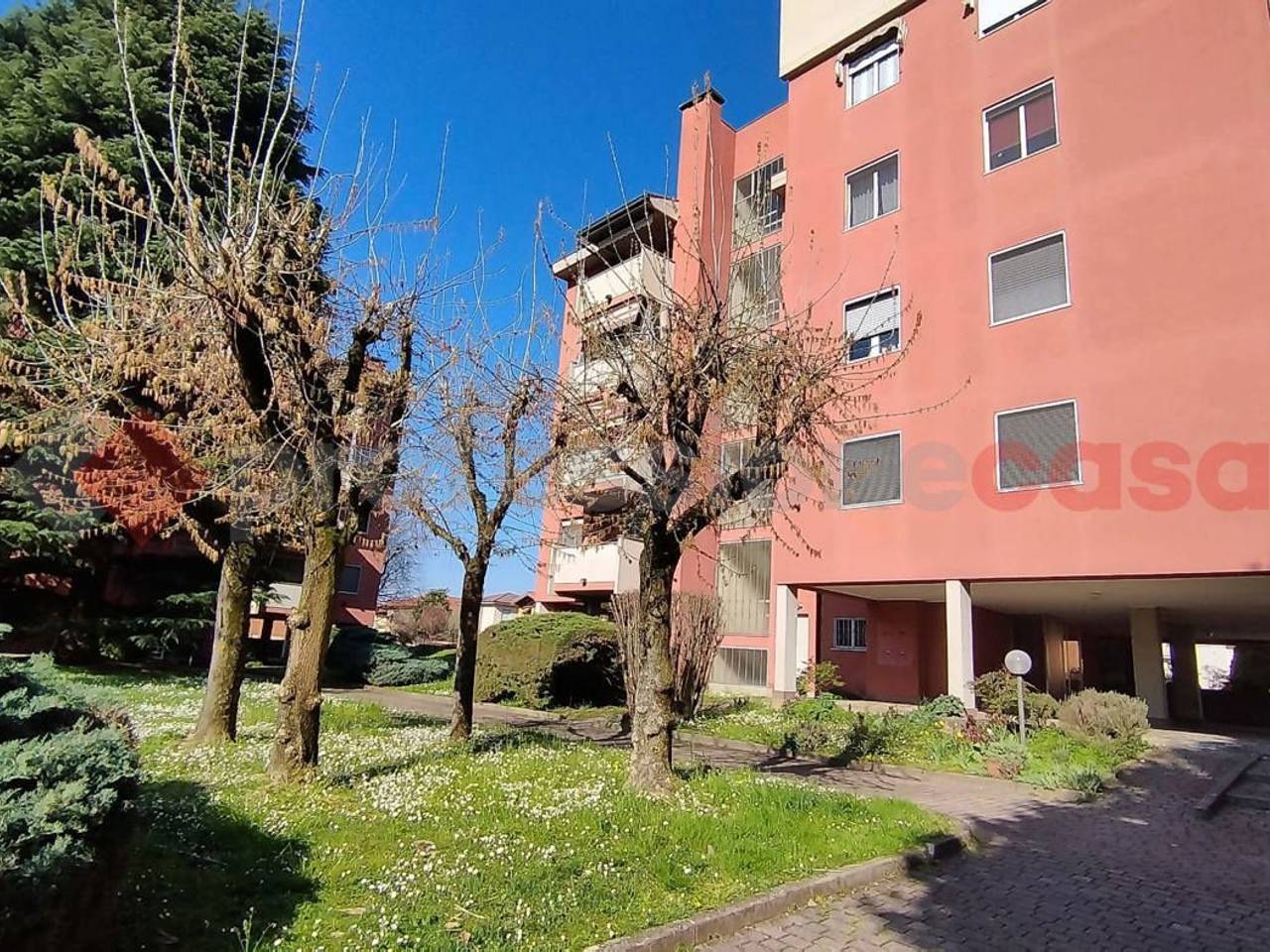 immagine annuncio 4 di 7