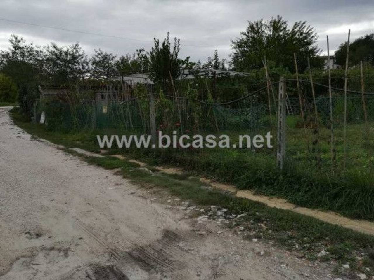 immagine annuncio 3 di 6