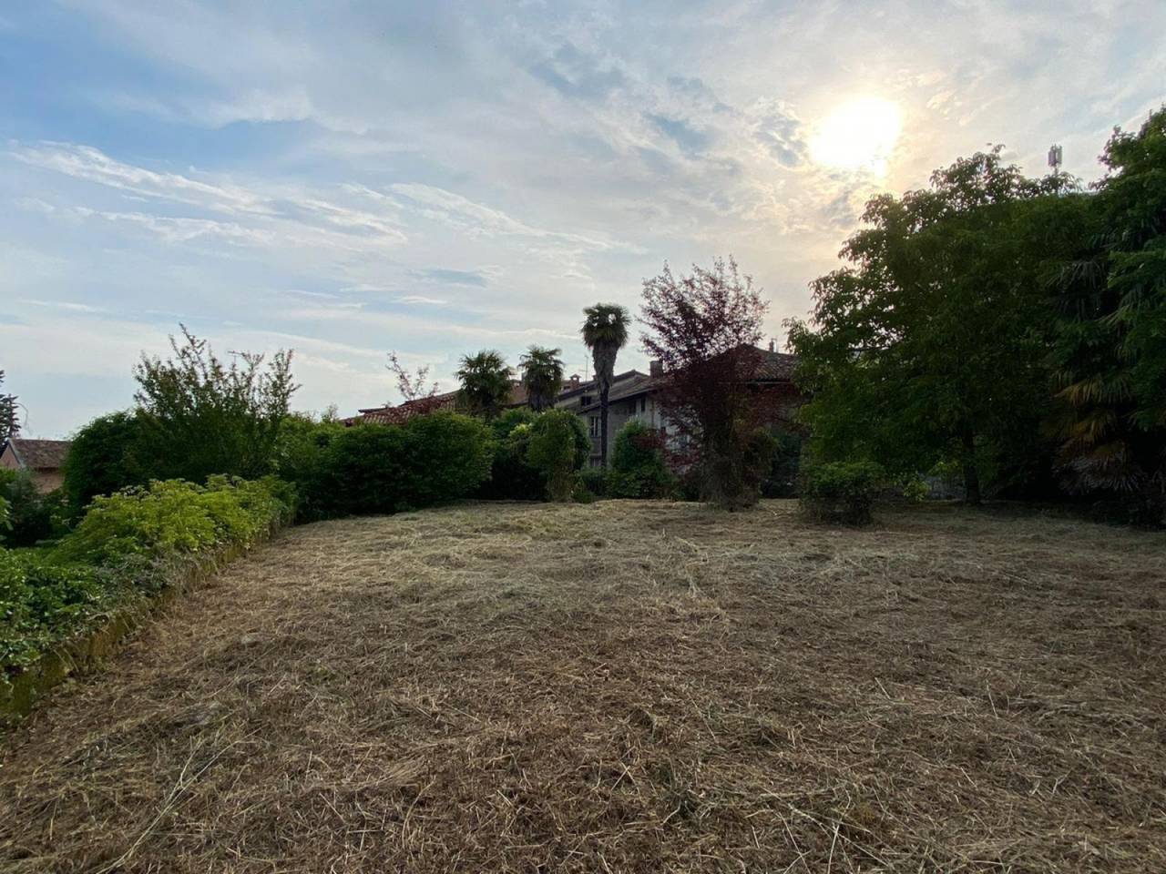 immagine annuncio 5 di 12