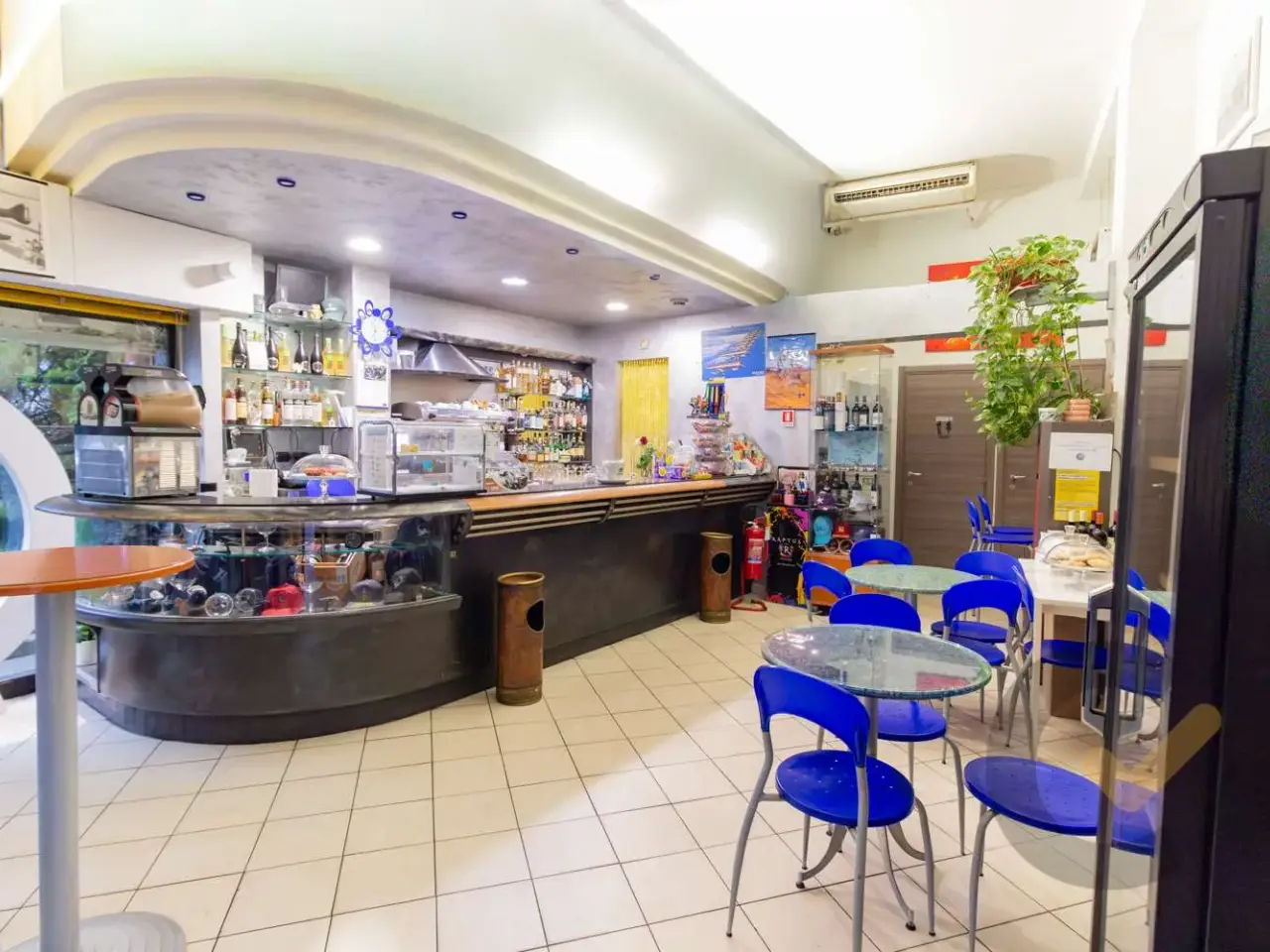 Bar in Viale Borri 90, Varese, {3} - Foto 1