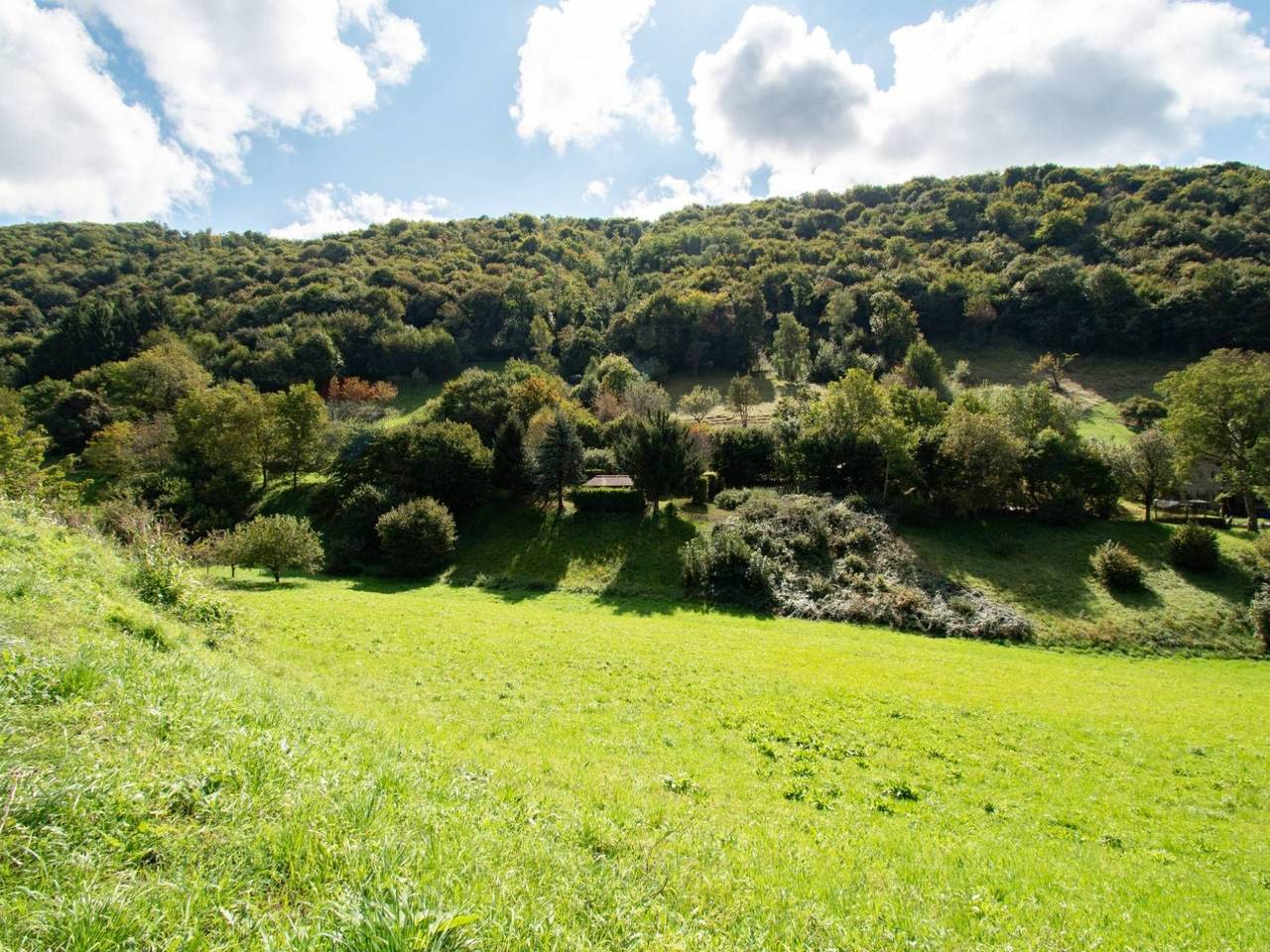 immagine annuncio 1 di 13