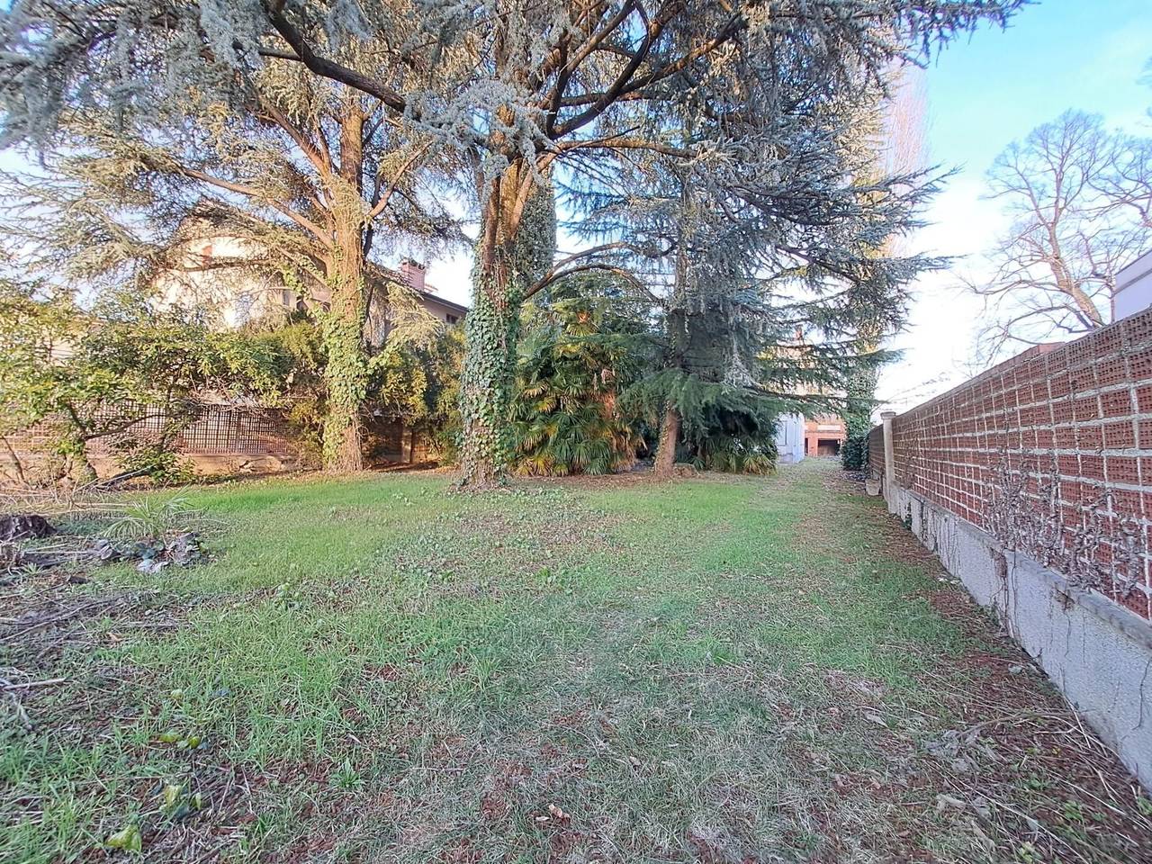 immagine annuncio 3 di 9