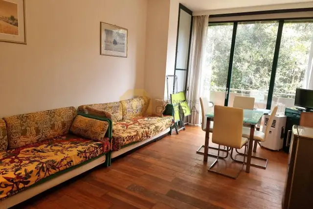 2-room flat in Viale Roma, Pietrasanta - Photo 1