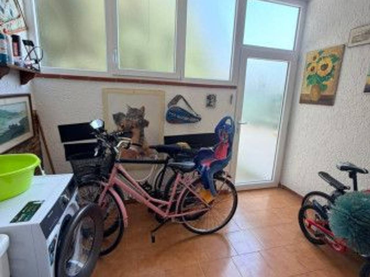 immagine annuncio 5 di 12