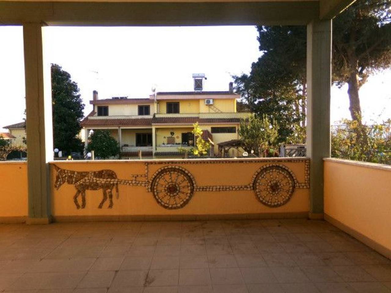 immagine annuncio 5 di 14