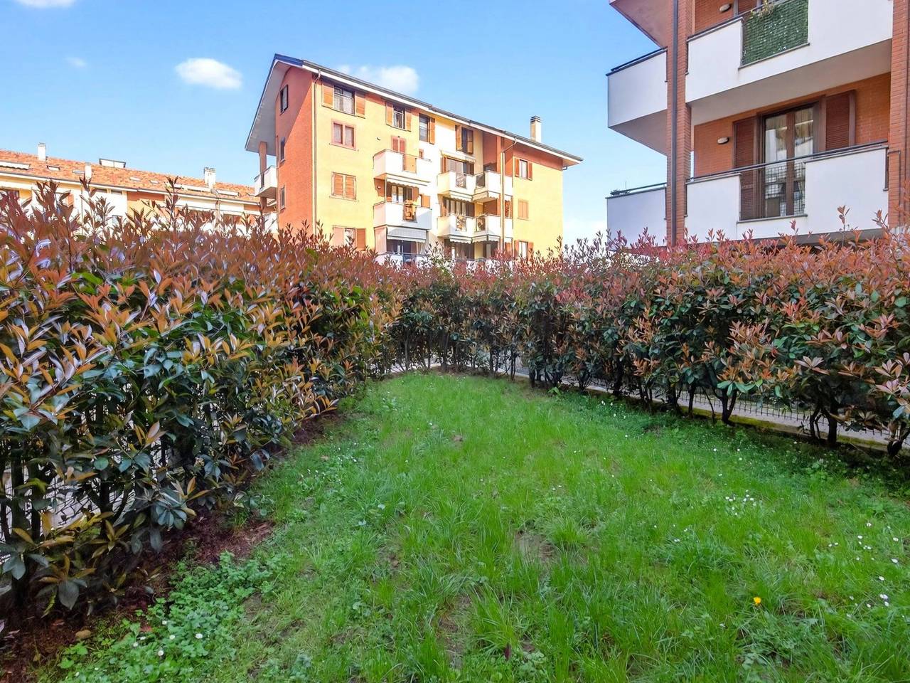 immagine annuncio 12 di 15