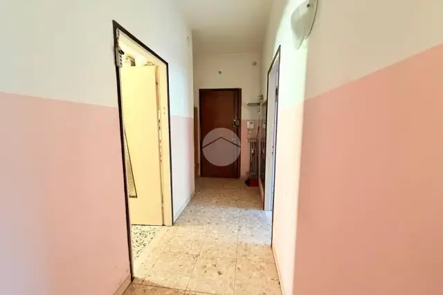 insertion image