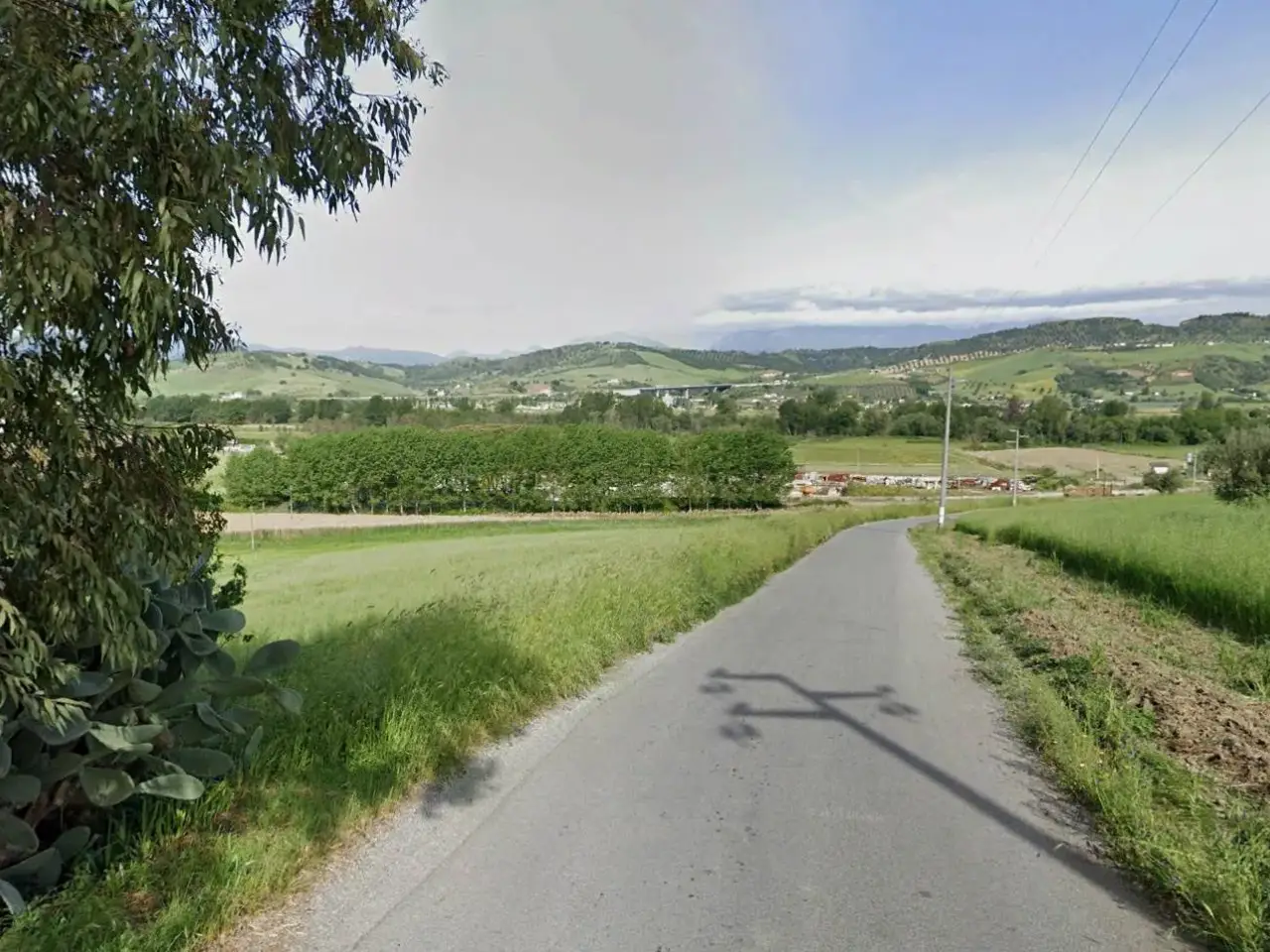 Azienda agricola in Contrada Mandrie, Santa Sofia D'Epiro, {3} - Foto 1