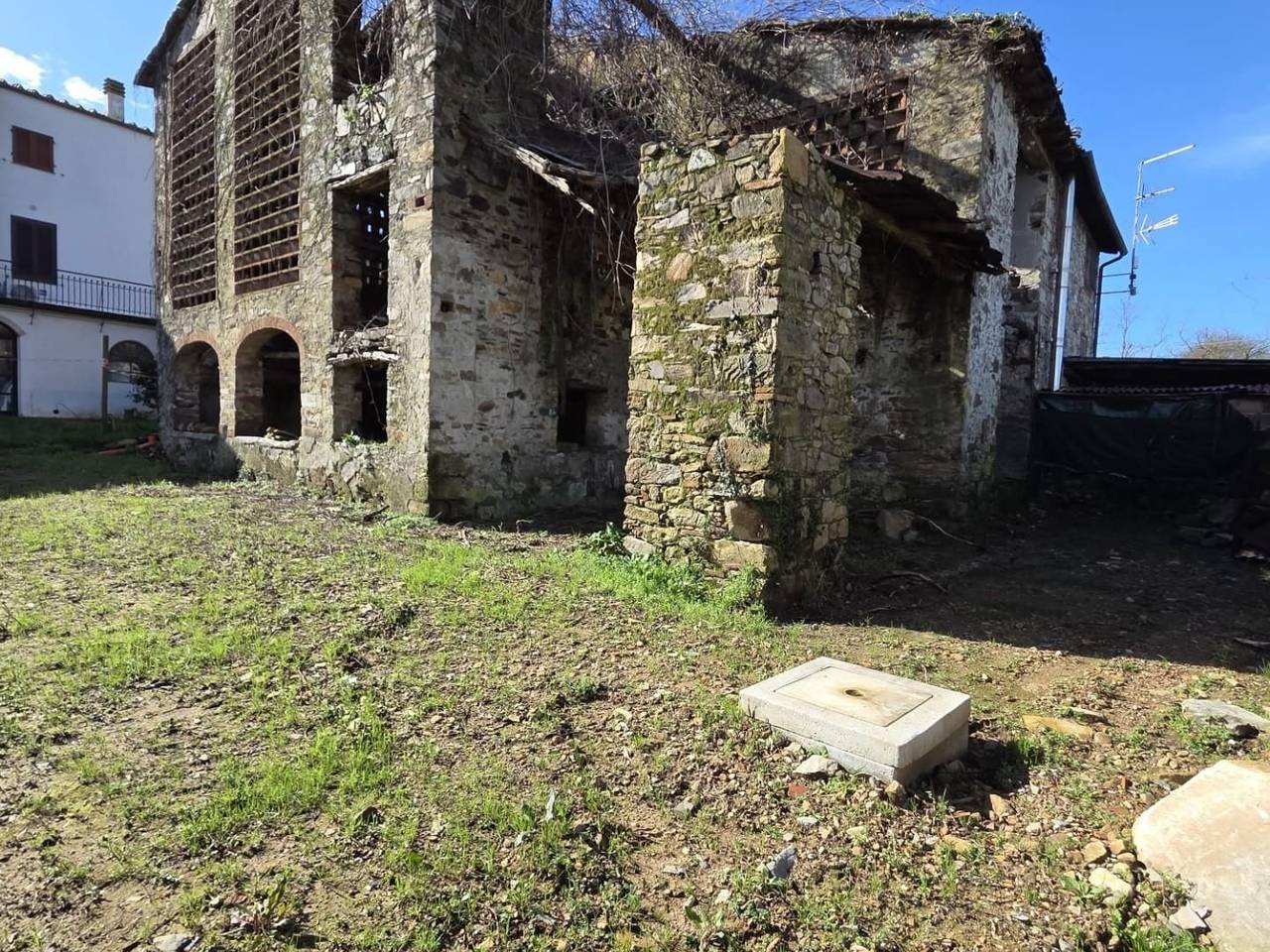 immagine annuncio 12 di 15