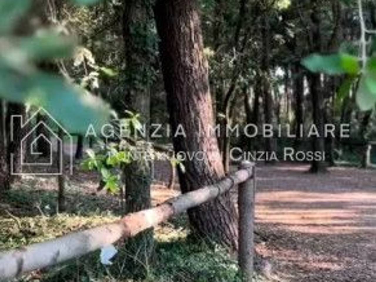 immagine annuncio 3 di 8