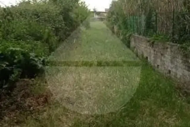 insertion image